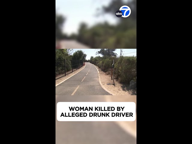 ⁣Video shows DUI suspect veer off road in OC crash that killed woman