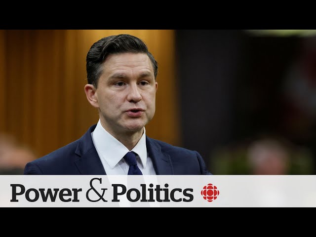 ⁣Poilievre stakes out positions on involuntary drug treatment and pensions | Power Panel