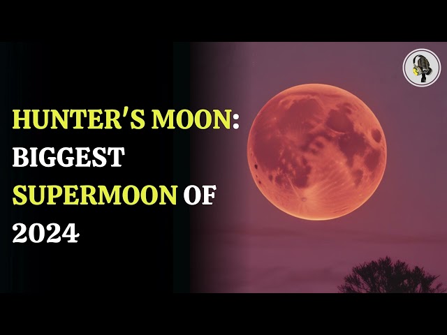 ⁣Hunter's Moon Biggest Supermoon of 2024   | WION Podcast