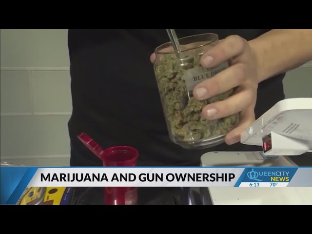 ⁣Should marijuana users be allowed to own guns?