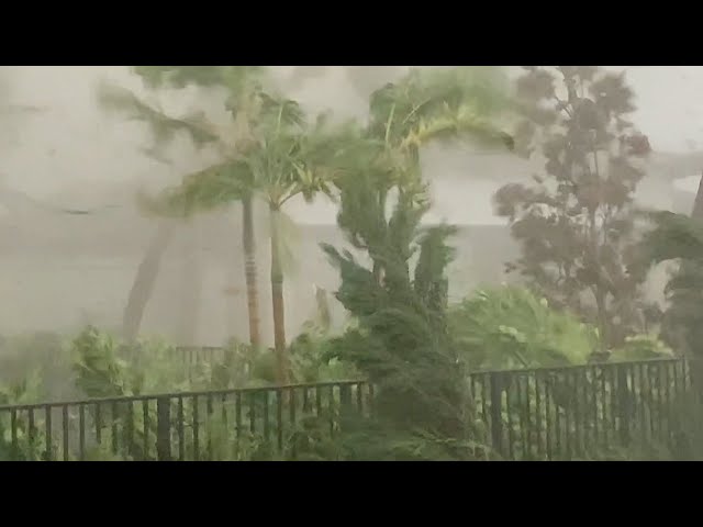 ⁣"Oh my god!" | Watch the moment a tornado rips through a Florida backyard during Hurricane