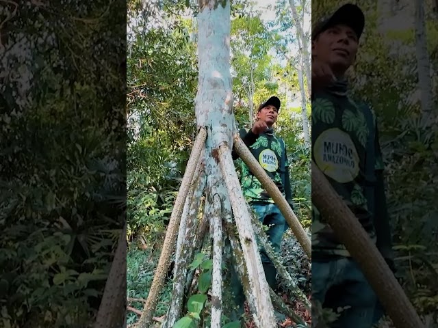 ⁣Ecoturismo en la Amazonía: transformación y tradición en el jardín botánico de Leticia