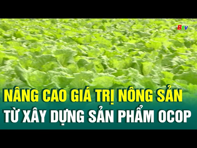 ⁣Nâng cao giá trị nông sản từ xây dựng sản phẩm OCOP