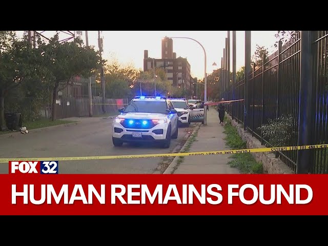 ⁣Human head found on West Side, sources say