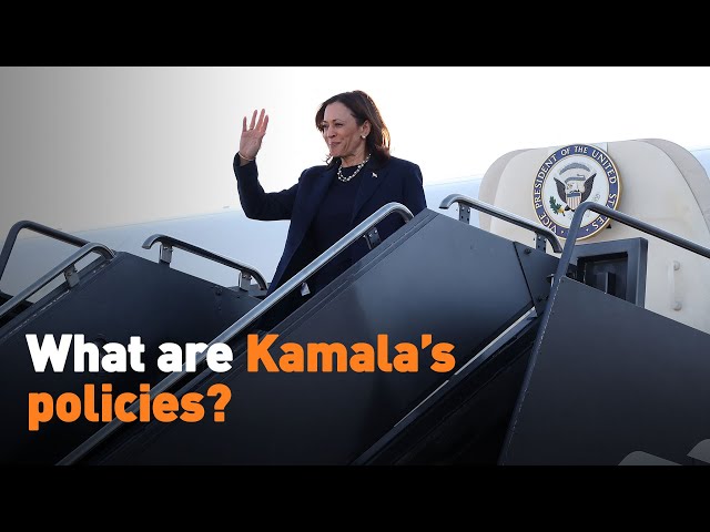 ⁣What are Kamala's policies?