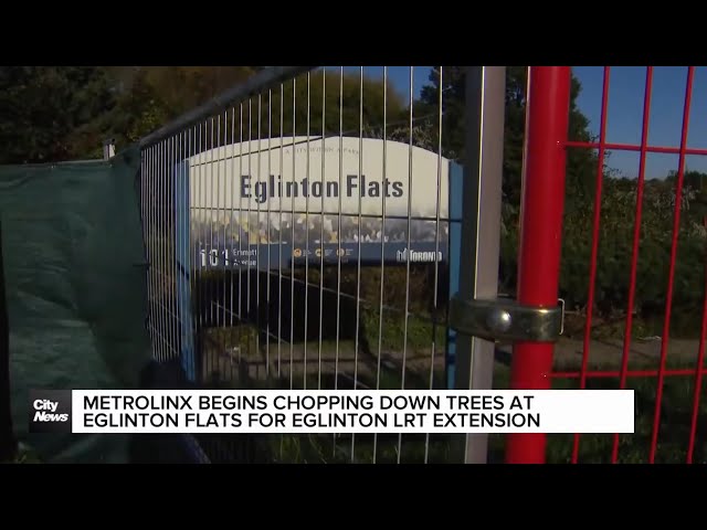 ⁣Metrolinx begins tree removal at Eglinton Flats