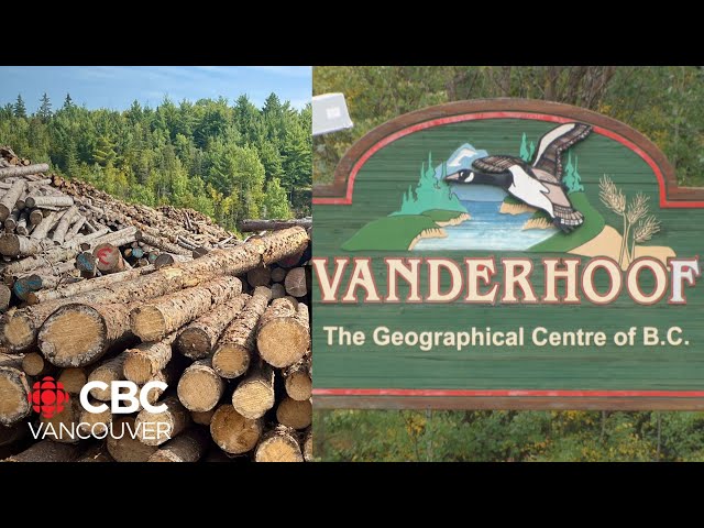 ⁣B.C.'s ailing forestry industry could impact election outcome in the north