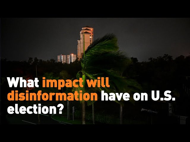 ⁣What impact will disinformation have on U.S. election?