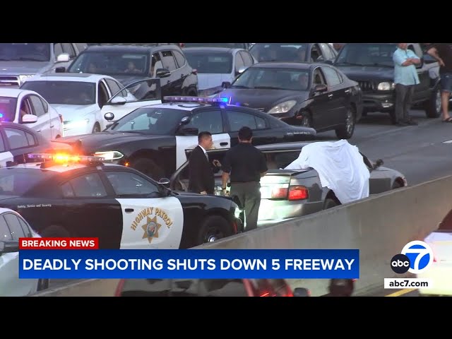 ⁣2 killers on the run after deadly 5 Freeway shooting. Here's what we know