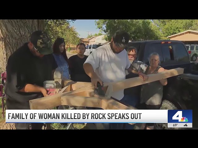 ⁣Family want justice for woman killed by rock thrown through car windshield