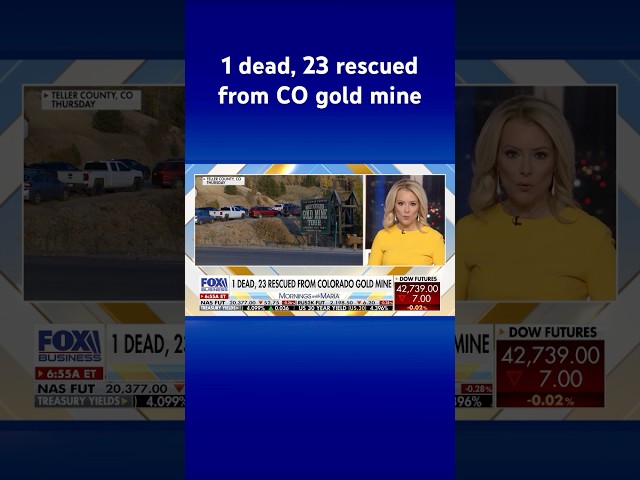 ⁣Colorado rescue crews save remainder of tourists stuck in gold mine #shorts