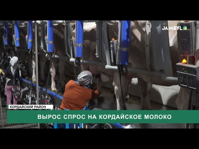 ⁣Вырос спрос на Кордайское молоко