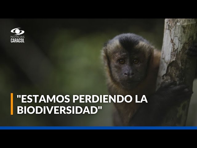 ⁣Poblaciones de animales silvestres: un sistema en peligro