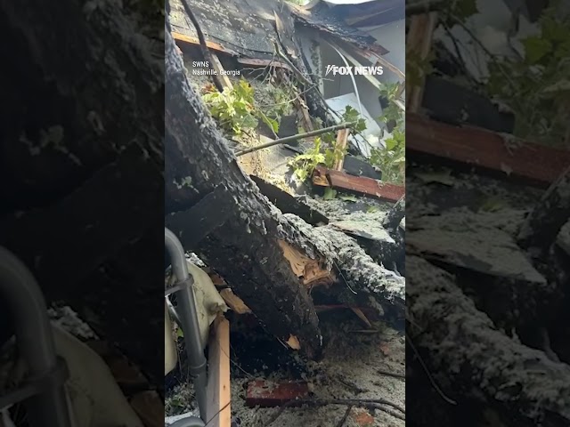 ⁣Bible left completely untouched after Hurricane Helene rips through woman's home