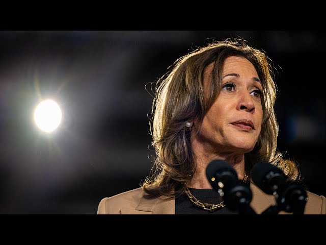 ⁣Kamala Harris juggling campaign, VP duties amid Hurricane Milton response