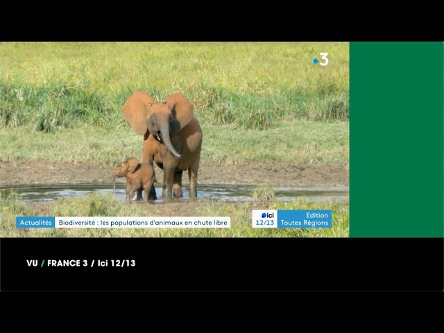 ⁣VU du 11/10/24 : Biodiversité : alerte !