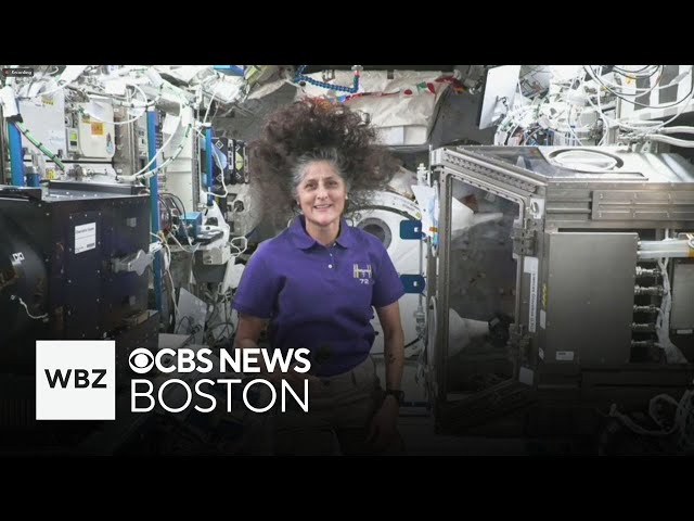 ⁣Suni Williams, astronaut from Massachusetts stuck in space, describes what it's like