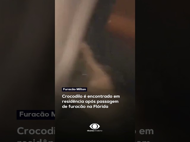 ⁣Moradores da Flórida flagraram a presença de crocodilos dentro de suas casas #shorts