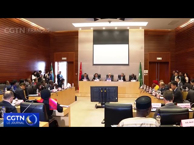 ⁣Dialogue sur l'Initiative mondiale pour le développement à Addis-Abeba