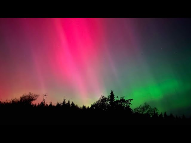 ⁣WATCH: Northern lights seen across the Maritimes in Canada