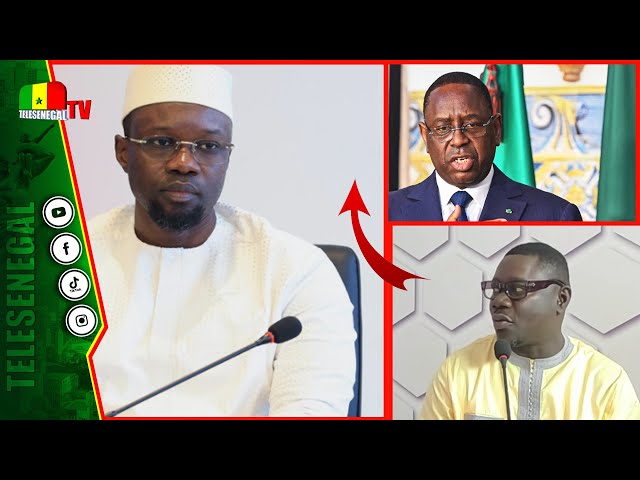 ⁣Révélations contre Macky et Cie Famara Ibrahima Cissé accule SONKO"loy xaar pour arrêter len té