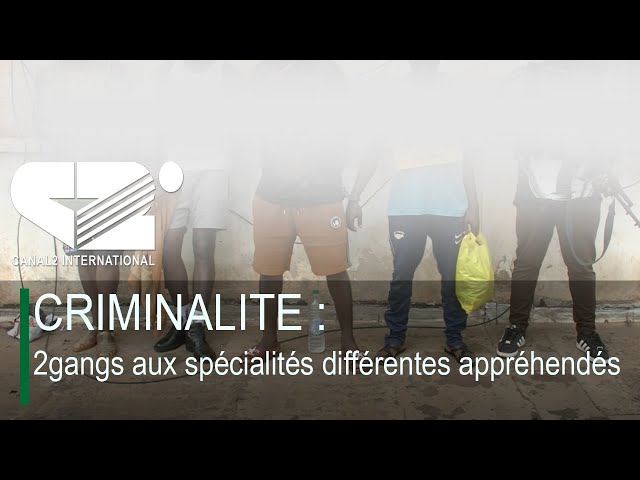 ⁣CRIMINALITE : 2gangs aux spécialités différentes appréhendés