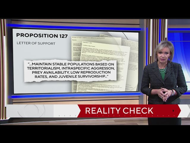 ⁣Proposition 127 would ban the hunting of big cats in Colorado