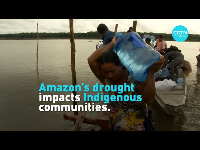 ⁣Amazon's drought impacts Indigenous communities