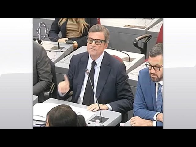 ⁣Stellantis, Calenda: neanche un euro senza piano scritto