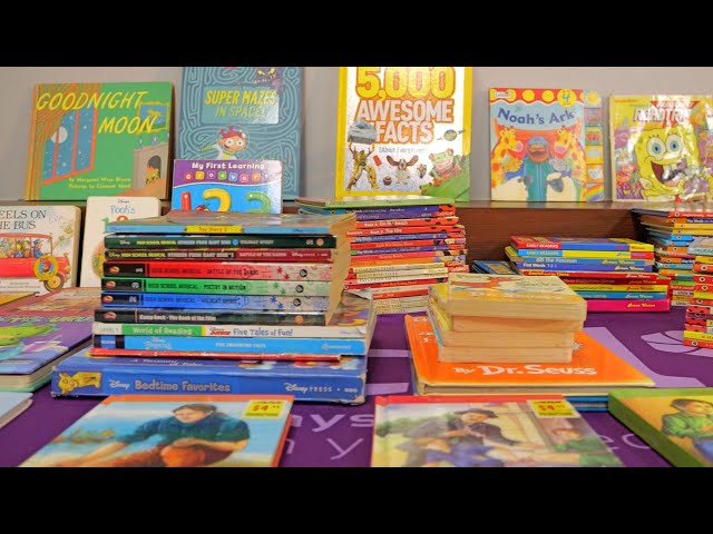 ⁣Efforts to elevate reading levels among students