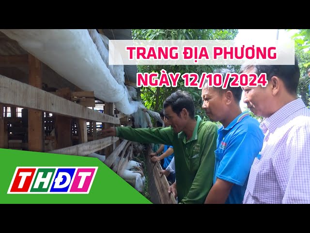 ⁣Trang địa phương | 12/10/2024 | H.Tân Hồng - Hiệu quả kinh tế từ nuôi dê | THDT