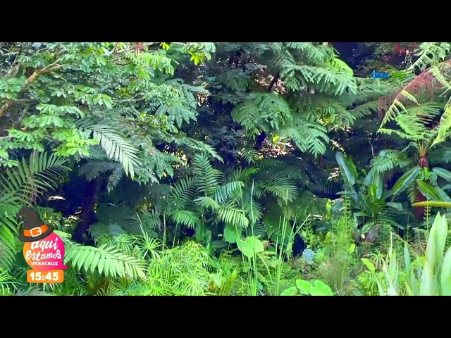 ¿Cuál es la función de un jardín botánico?