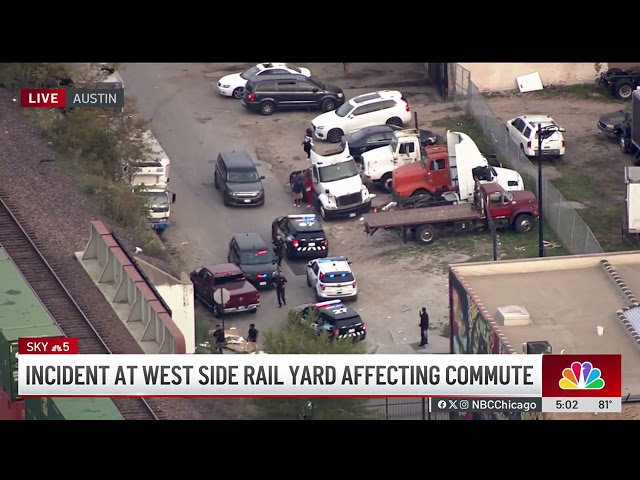 ⁣Large groups of people seen stealing from freight trains on Metra line