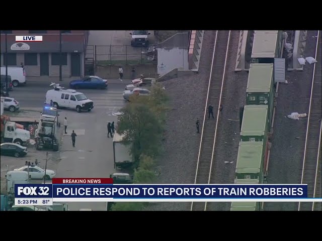 ⁣Metra spokesperson speaks on mob burglarizing train on West Side