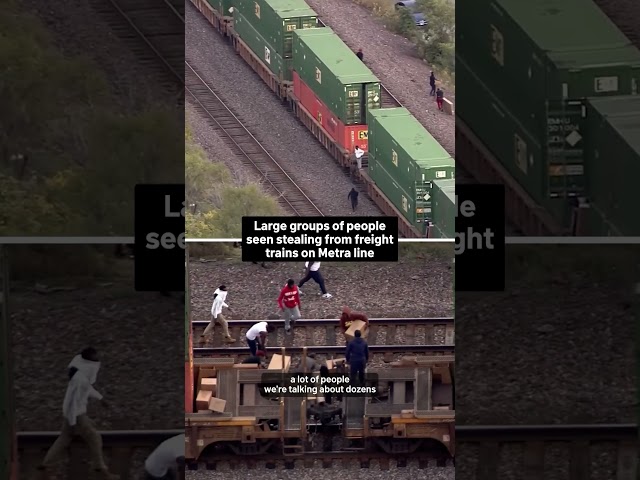 ⁣Large groups of people seen stealing from freight trains on Metra line