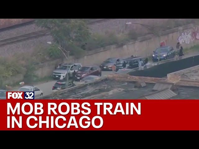 ⁣Chicago police called to mob burglarizing train on West Side