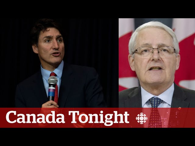 ⁣Former Liberal MP Garneau on Trudeau: ‘Sometimes the shine wears off’ | Canada Tonight