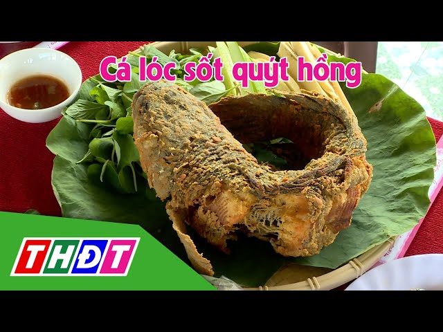 ⁣Cá lóc sốt quýt hồng | Đi đâu ăn đó - 11/10/2024 | THDT