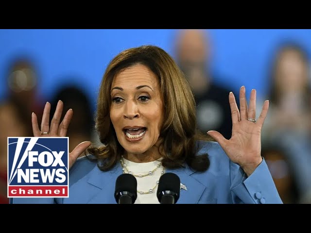 ⁣Kamala Harris ‘hid’ from Americans this week: Karoline Leavitt