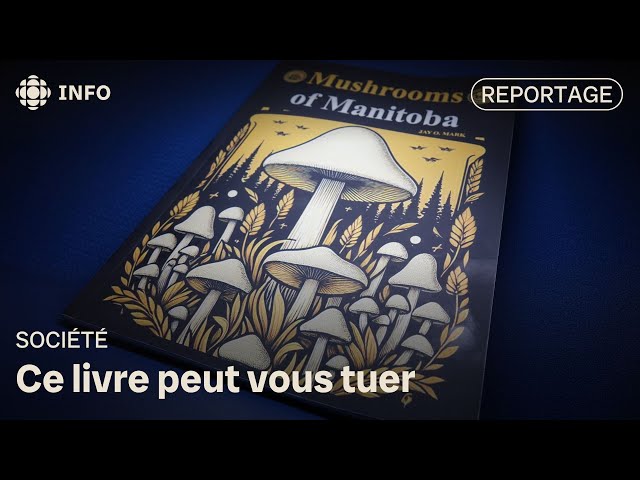 ⁣Un livre écrit par l'IA qui pourrait être dangereux