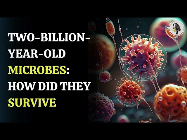 ⁣Two-Billion-Year-Old Microbes:  How did they survive  | WION Podcast