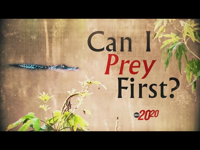 ⁣Mom of two goes missing from North Carolina | 20/20 'Can I Prey First?' PART 1