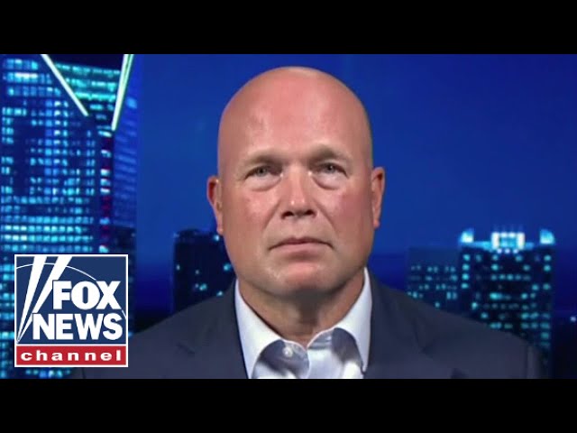 ⁣Matt Whitaker: These criminals who are here illegally are 'walking out the back door'