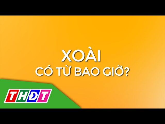 ⁣Xoài có từ khi nào | Em yêu quê mình - 11/10/2024 | THDT