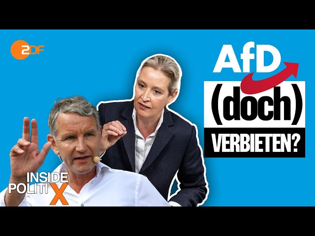 ⁣Droht der AfD ein Verbot? | Inside PolitiX