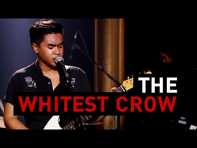 ⁣Little Fox - The Whitest Crow : Big Boom Box