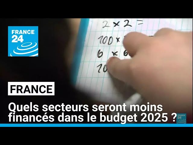 ⁣Budget 2025 en France : quels sont les secteurs visés par l'« effort » de 60 milliard d'eu