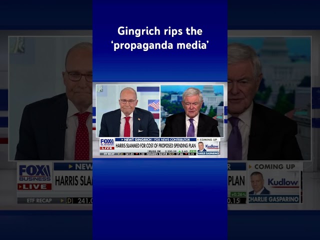 ⁣If you vote for Kamala, you are voting for a ‘depression’: Gingrich #shorts