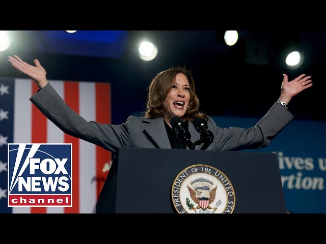 ⁣Harris ‘not going to get there’ with core Dem voters: Samantha Dravis