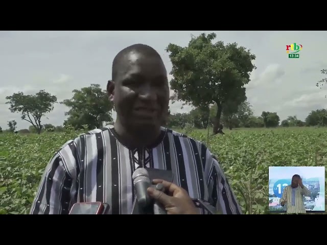 ⁣L’Union nationale des producteurs de coton du Burkina visite son champ présidentiel offert à l'